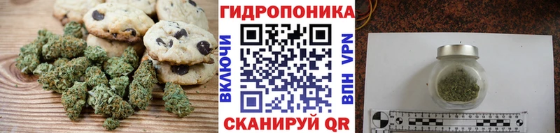 Cannafood конопля  Владимир 