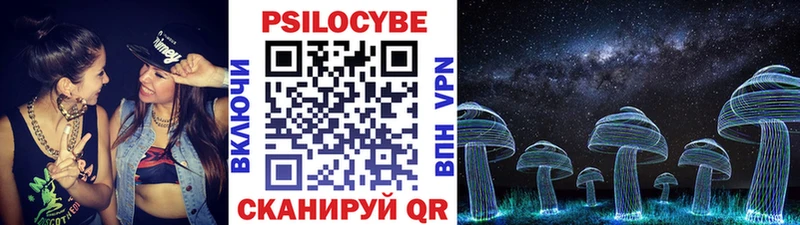 цены Владимир Псилоцибиновые грибы прущие грибы
